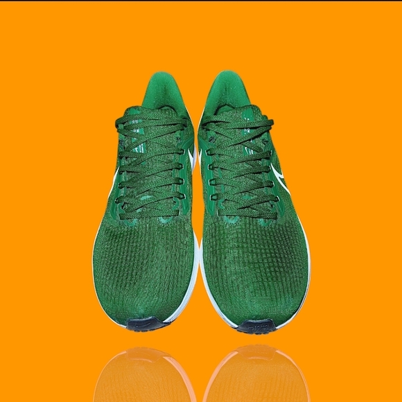 Nike Air Zoom Pegasus 39 TB Gorge Green White Black DM0164-300 Mens Size 11 VGUC - Picture 2 of 13